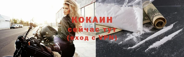 индика Абинск