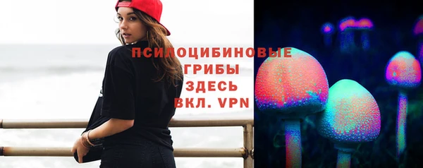 2c-b Алзамай
