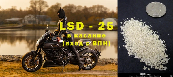 индика Абинск