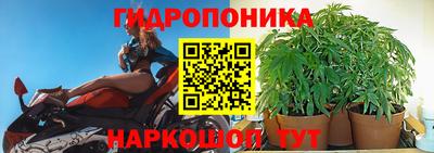 spice Тверь