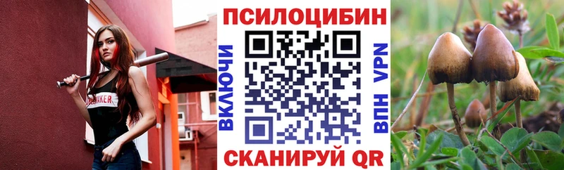 Псилоцибиновые грибы мицелий  где продают наркотики  Сальск 