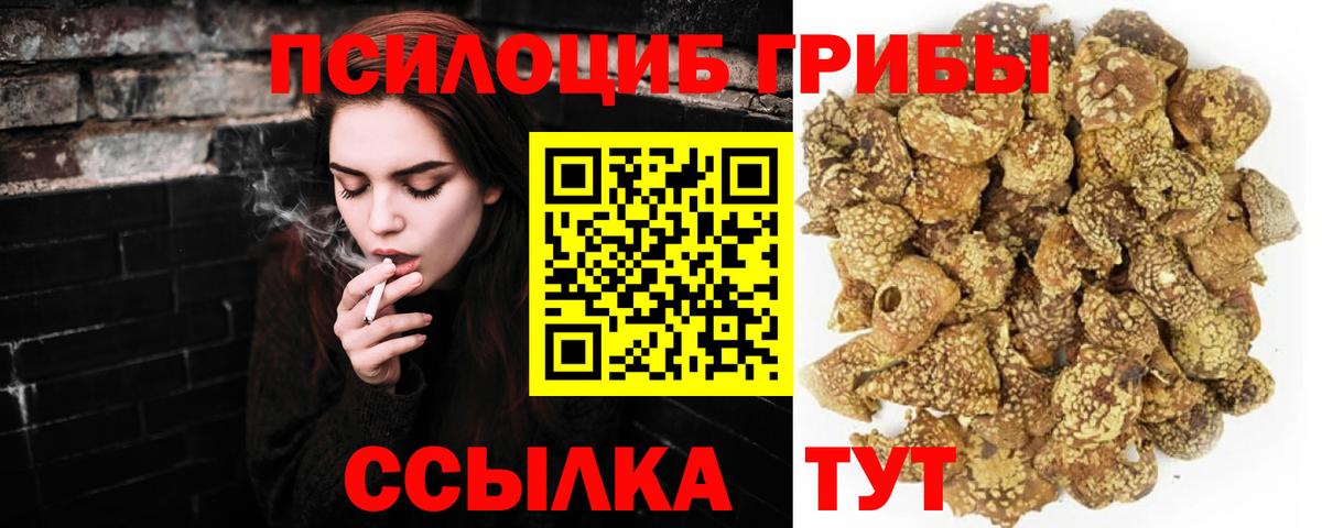 Псилоцибиновые грибы MAGIC MUSHROOMS Сальск