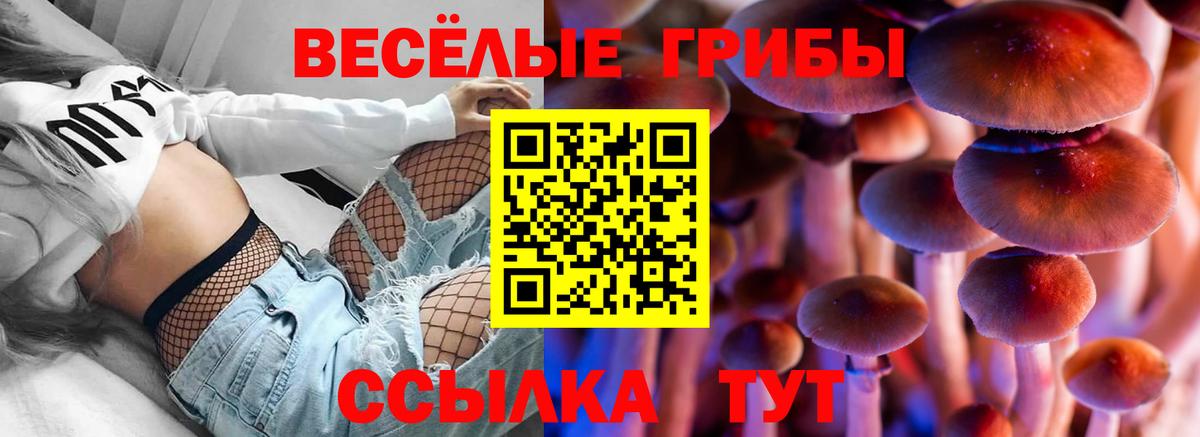 Сальск  Галлюциногенные грибы Psilocybe  цена   Вход с VPN  Псилоцибиновые грибы ЛСД 