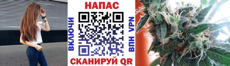 Шишки марихуана Bruce Banner  Сальск 