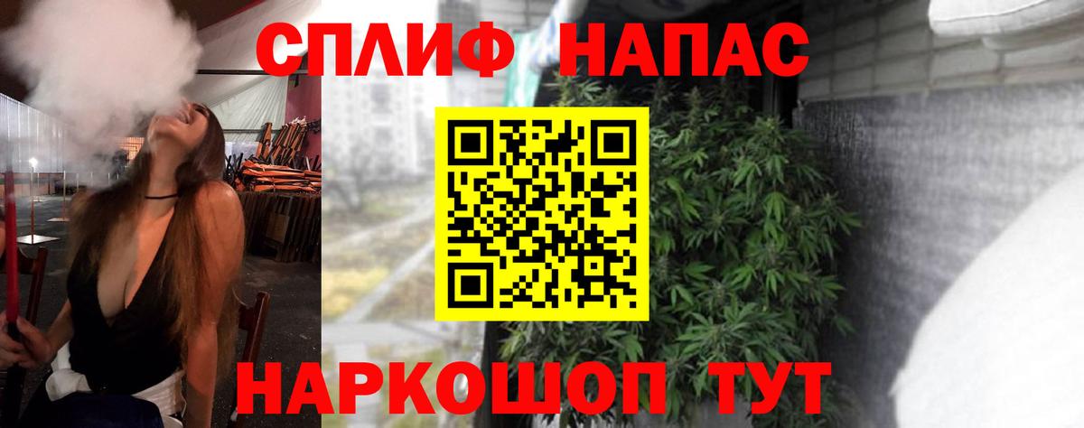 Канабис гибрид Сальск